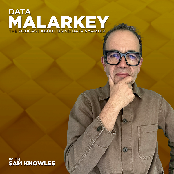 Artwork for The Data Malarkey Podcast