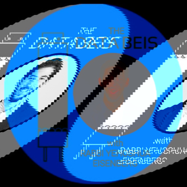Artwork for The DataBeis