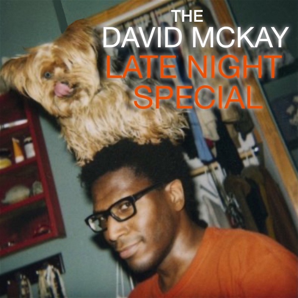 Artwork for THE DAVID MCKAY-L8-NIGHT SPECIAL