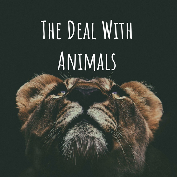 Artwork for The Deal With Animals