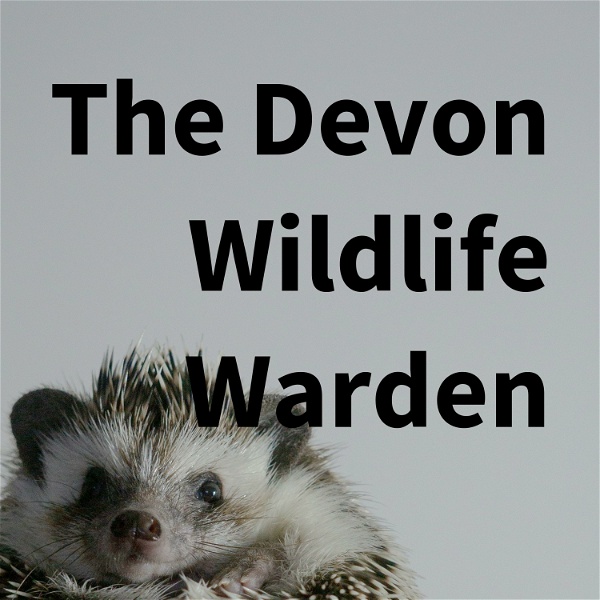 Artwork for The Devon Wildlife Warden