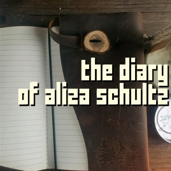 Artwork for The Diary Of Aliza Schultz