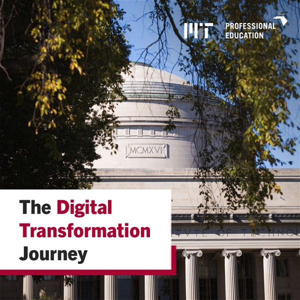 Artwork for The Digital Transformation Journey