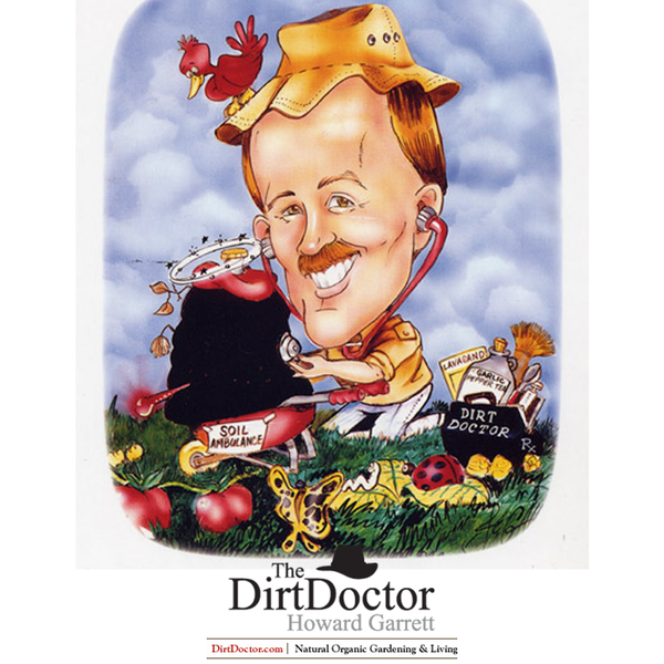 Artwork for The Dirt Doctor Radio Show