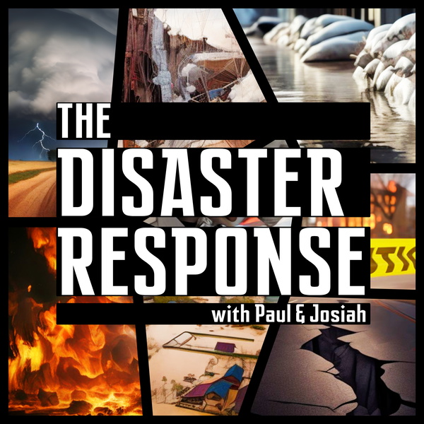Artwork for The Disaster Response