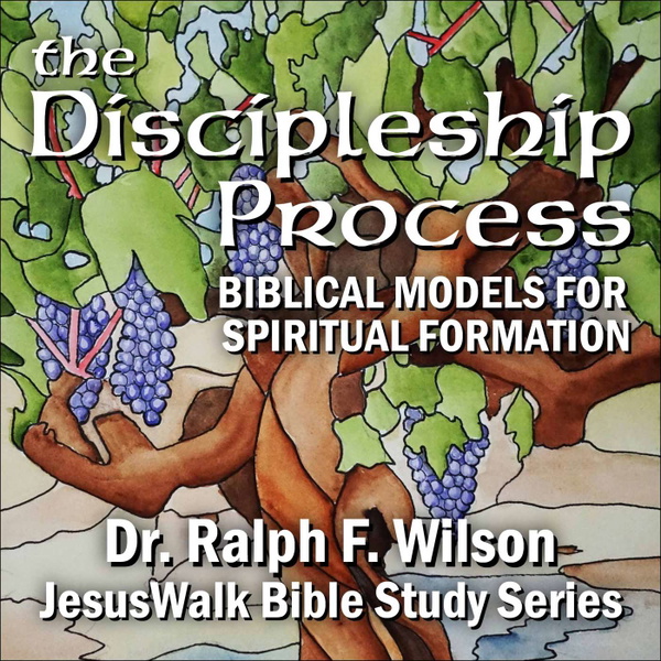 Artwork for The Discipleship Process: Biblical Models for Spiritual Formation