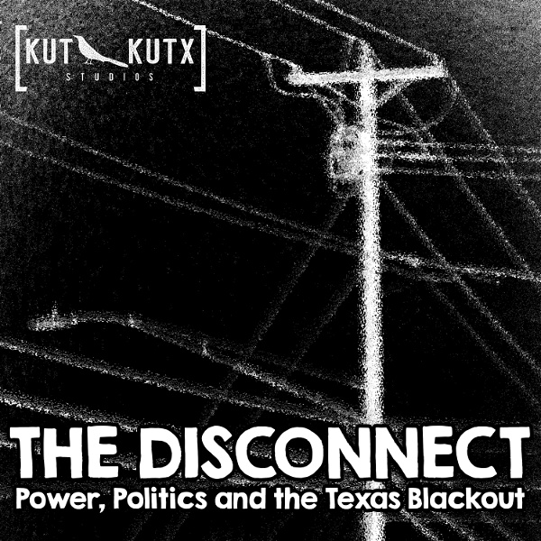 Artwork for The Disconnect: Power, Politics and the Texas Blackout