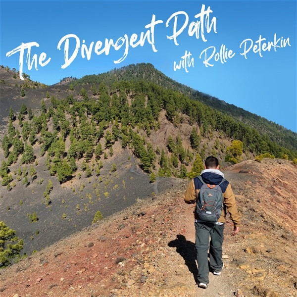 Artwork for The Divergent Path