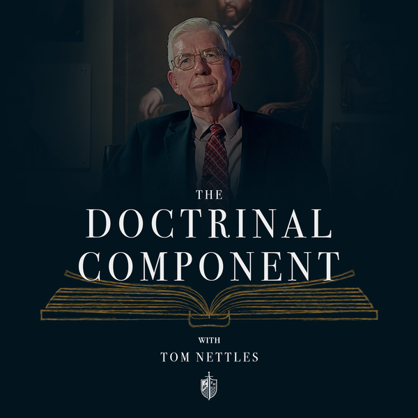 Artwork for The Doctrinal Component