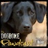 The DogBone Pawdcast