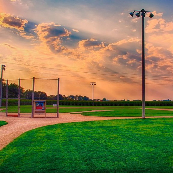 Artwork for The Dream Nation Show