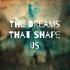The Dreams That Shape Us
