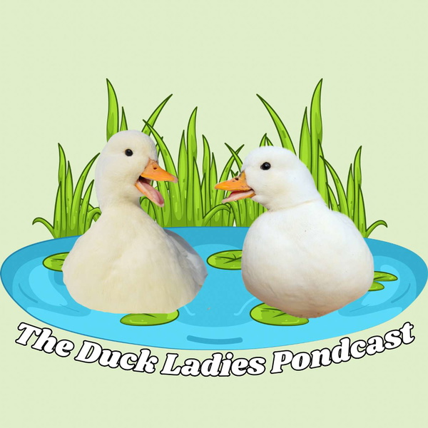 Artwork for The Duck Ladies Pondcast
