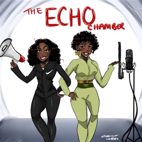Artwork for The Echo Chamber