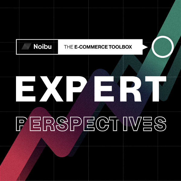 Artwork for The E-commerce Toolbox: Expert Perspectives