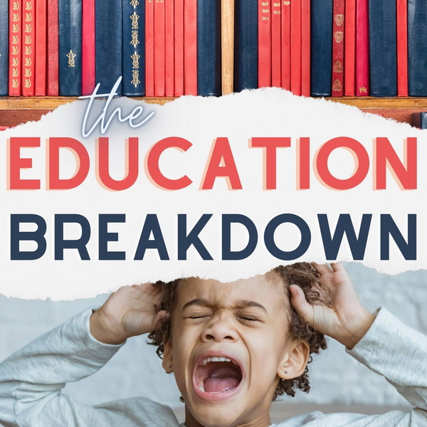 Artwork for The Education Breakdown