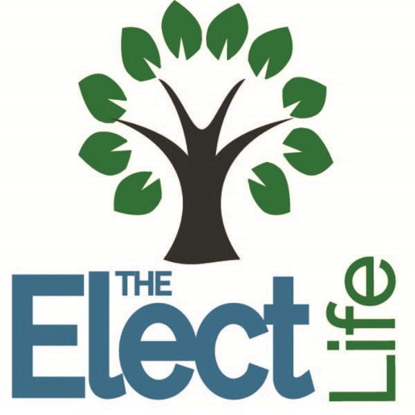 Artwork for The Elect Life