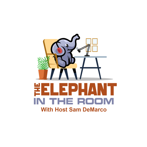Artwork for The Elephant in the Room