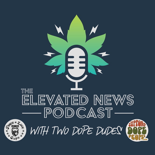 Artwork for The Elevated News Podcast