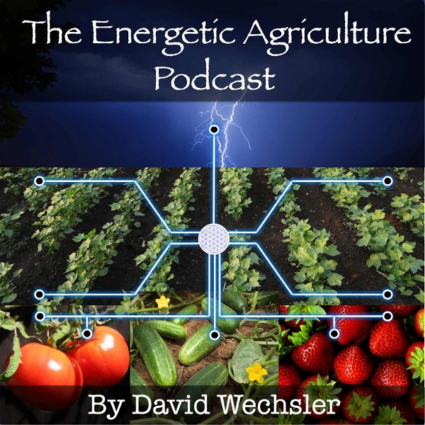 Artwork for The Energetic Agriculture Podcast