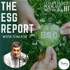 The ESG Report