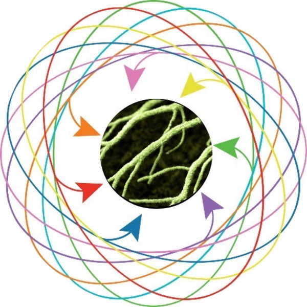 Artwork for The Eunoia Health Tech Podcast