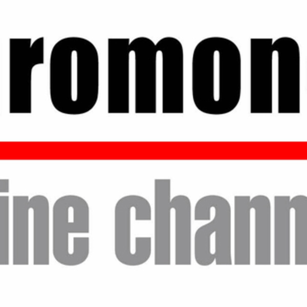 Artwork for The Euromoney Online Channels Podcast
