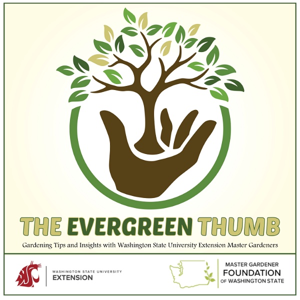 Artwork for The Evergreen Thumb