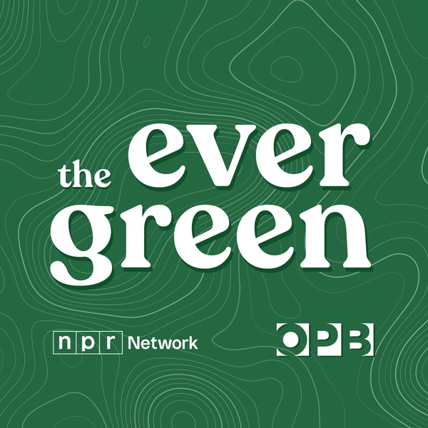 Artwork for The Evergreen