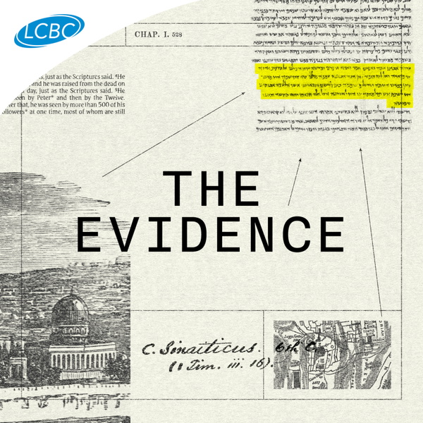 Artwork for The Evidence