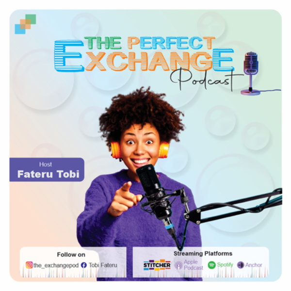 Artwork for The Perfect Exchange