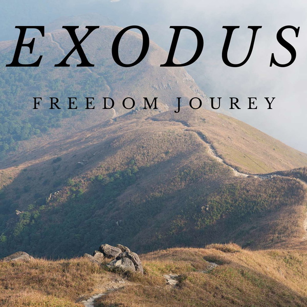 Artwork for The Exodus Freedom Journey Podcast