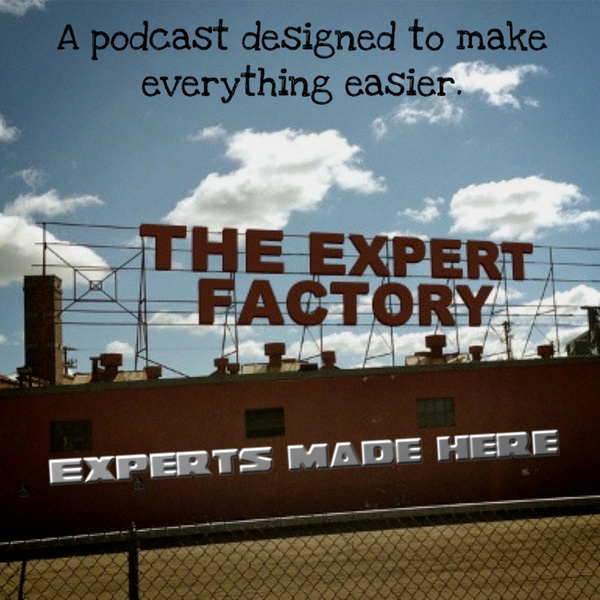 Artwork for The Expert Factory