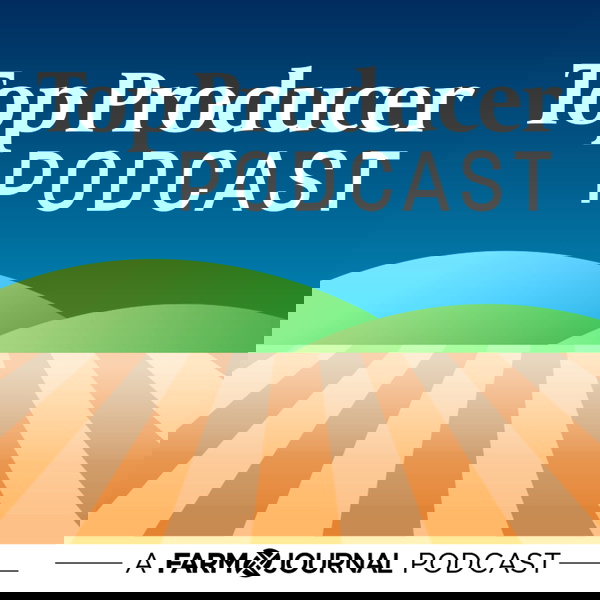 Artwork for Top Producer Podcast