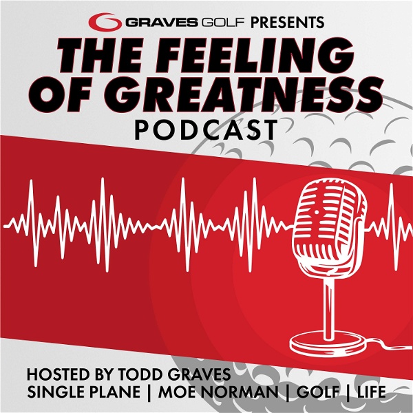 Artwork for The Feeling of Greatness