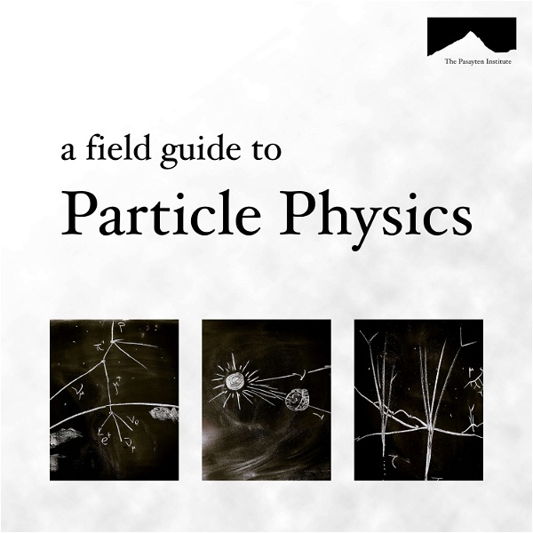 Artwork for The Field Guide to Particle Physics