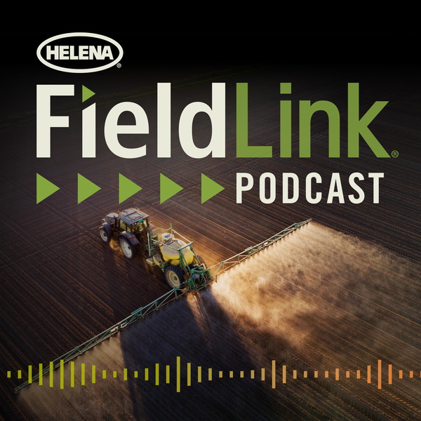 Artwork for The FieldLink Podcast