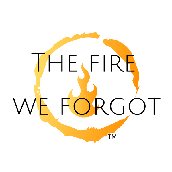 Artwork for The Fire We Forgot