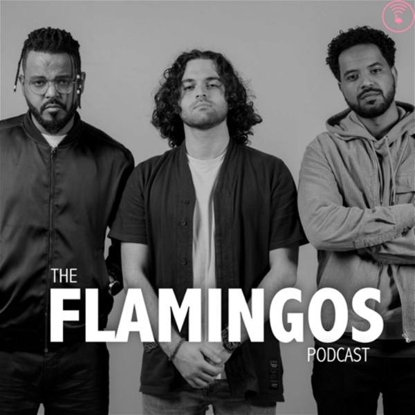 Artwork for The Flamingos Podcast with YAD, Kanzi & Awab