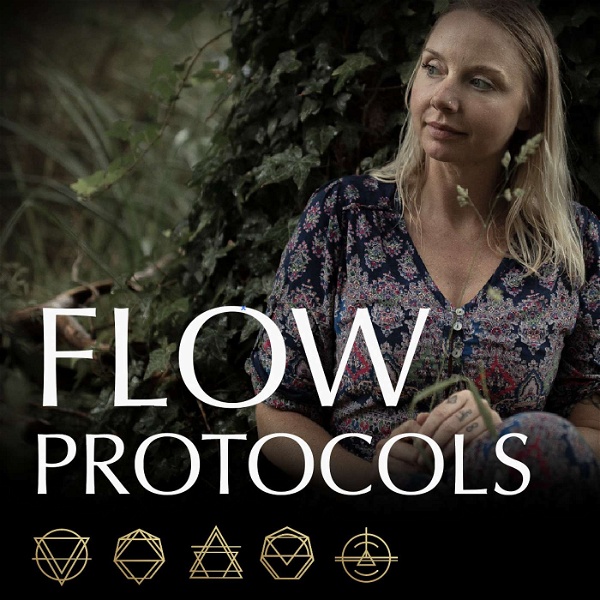 Artwork for The Flow Protocols