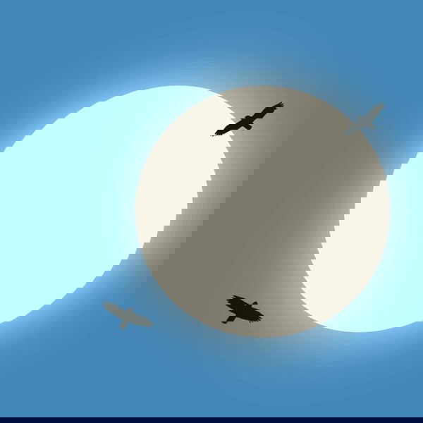 Artwork for The Flucks