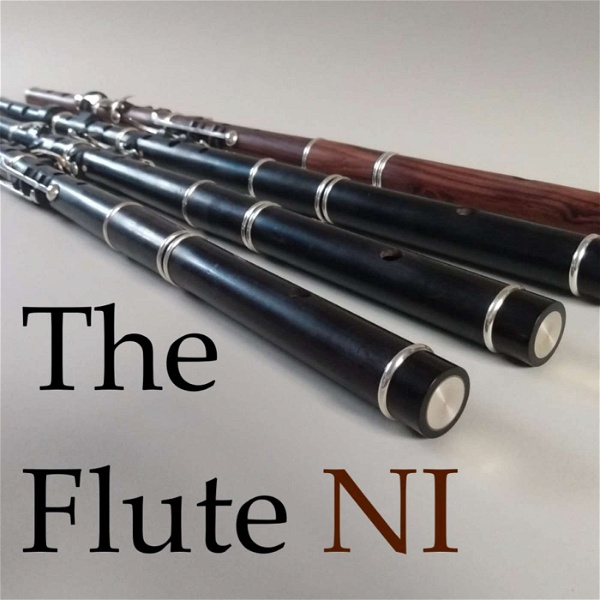 Artwork for The Flute NI