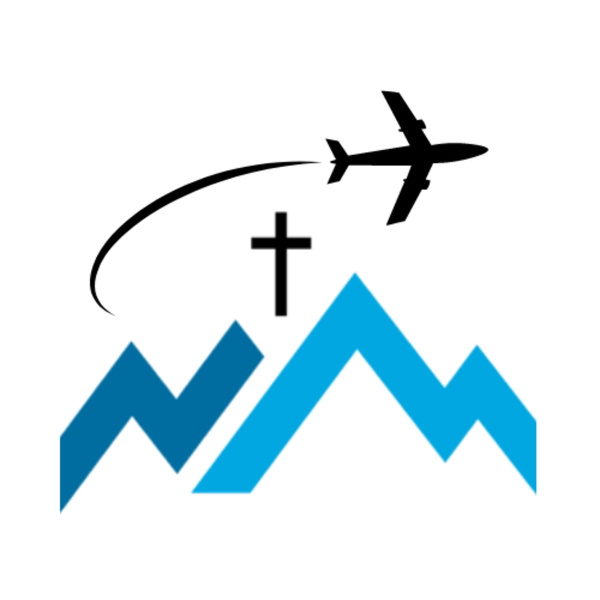 Artwork for The Flyover