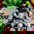 The Food Factor Podcast