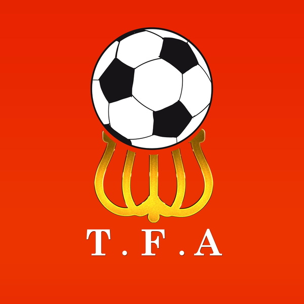 Artwork for The Football Academy