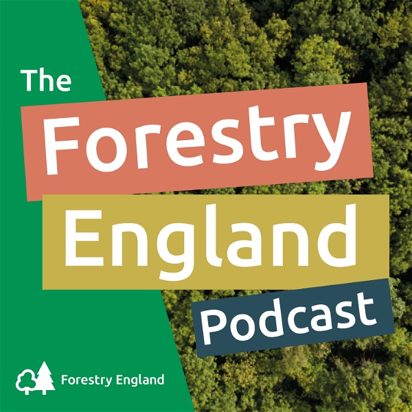 Artwork for The Forestry England Podcast