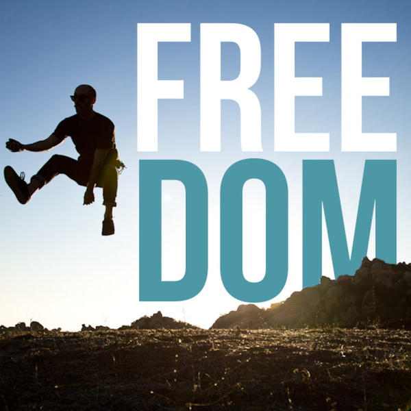 Artwork for The F.R.E.E. Center