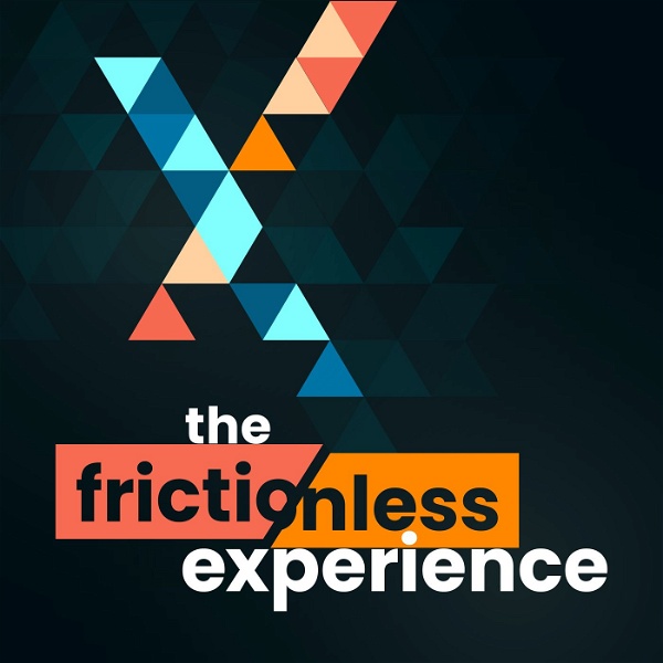 Artwork for The Frictionless Experience