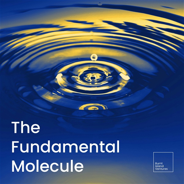 Artwork for The Fundamental Molecule