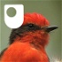 The Galapagos - for iPod/iPhone